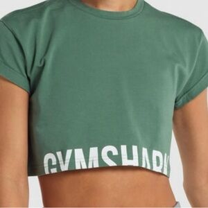 Gymshark Fraction Crop Top